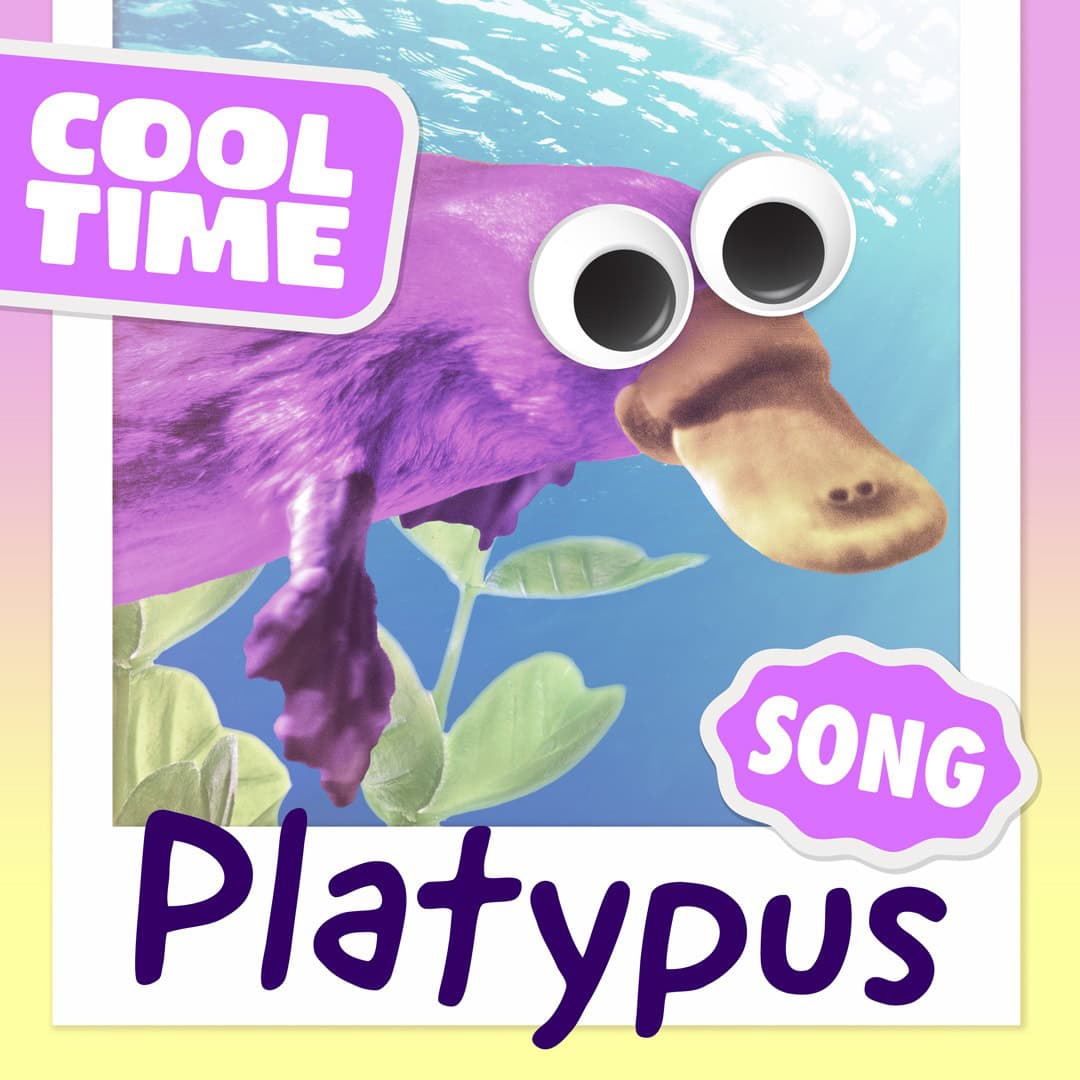 Featured image for “🦆 The Silliest Animal Jam: “Platypus Song” by Cooltime”